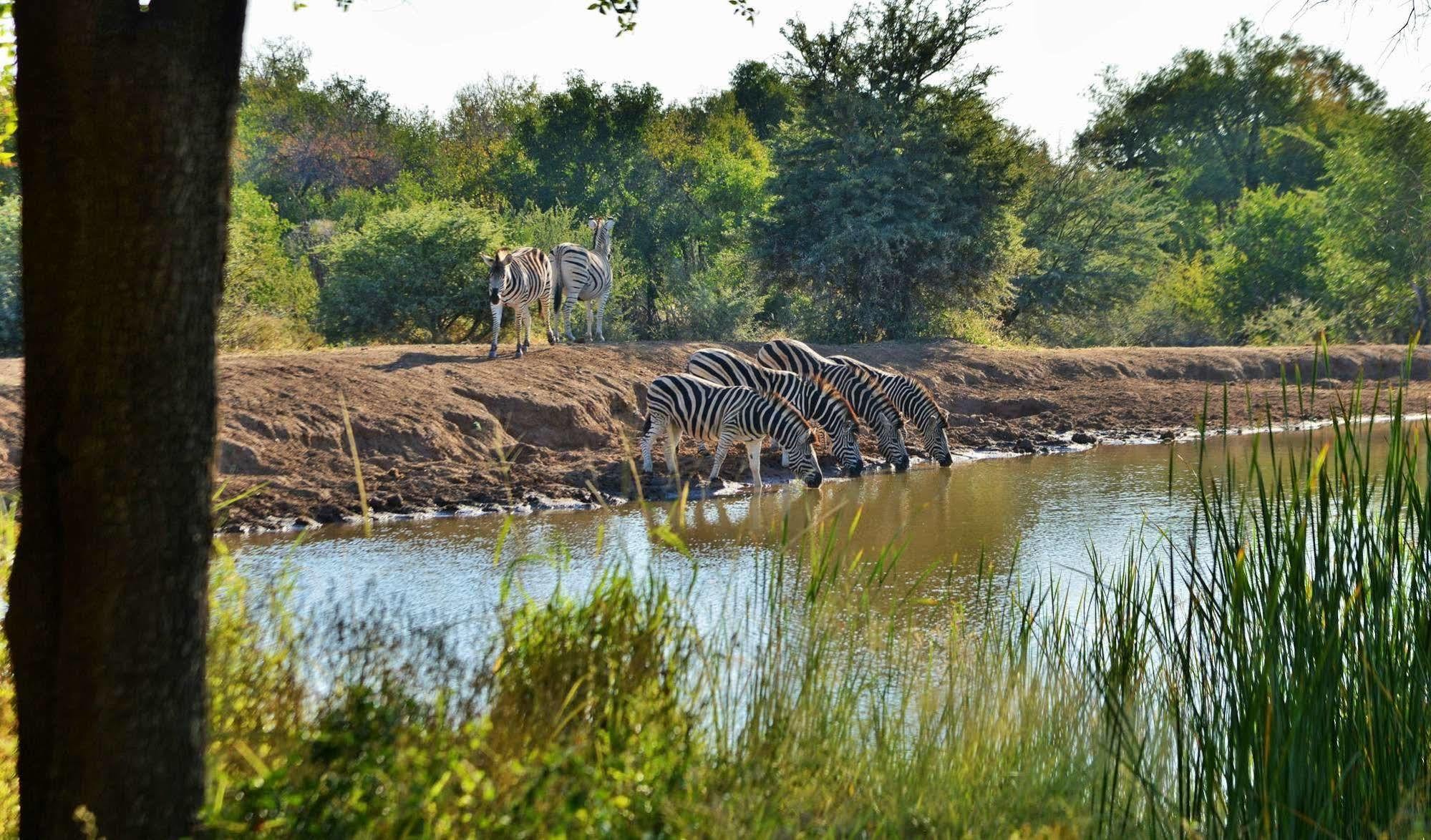 Black Rhino Game Lodge Ruighoek Mine Экстерьер фото