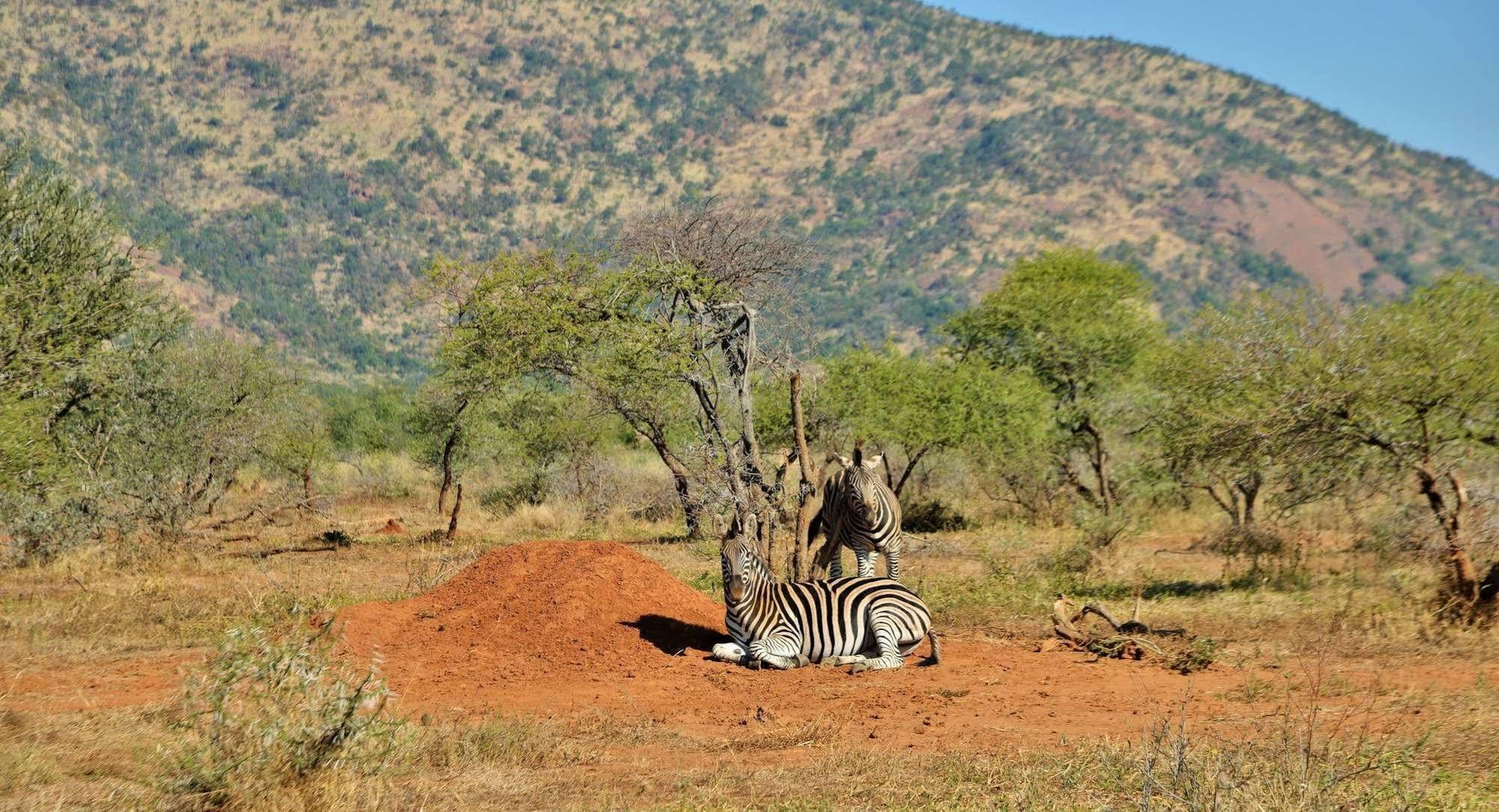 Black Rhino Game Lodge Ruighoek Mine Экстерьер фото